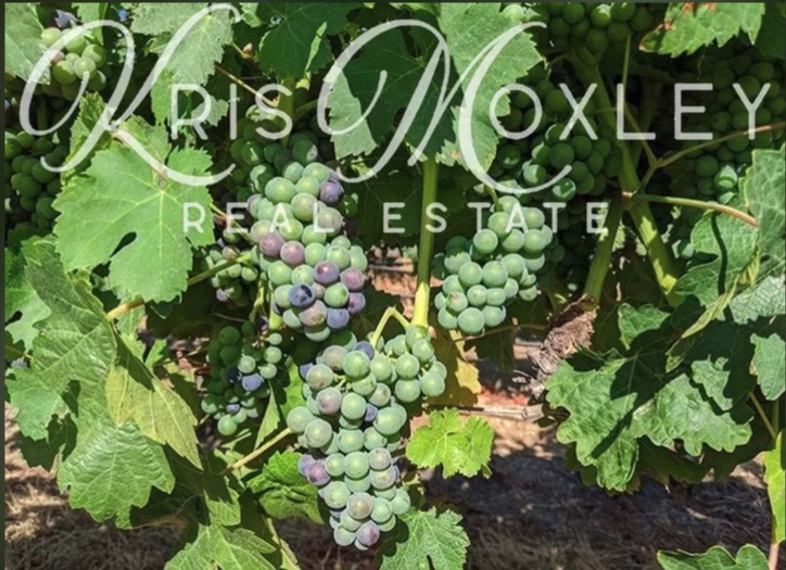 Kris Moxley, Real Estate Agent Compass